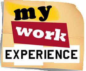 Work Experience for Year 10